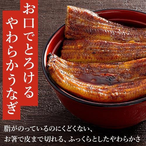 内祝い うなぎ 長蒲焼 白焼き詰め合わせギフト 大 うなぎ浜名湖山吹 送料無料_4