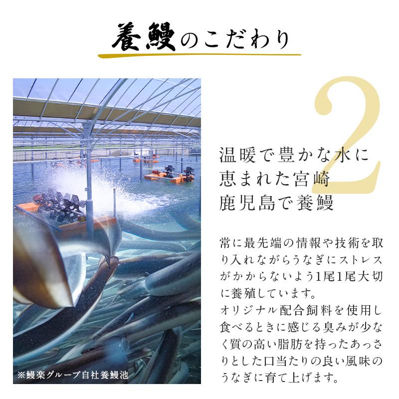 【鰻楽】国産うなぎ蒲焼　切身20枚（10~20人前）ギフト 敬老の日 お歳暮｜unagidokoromanraku｜08