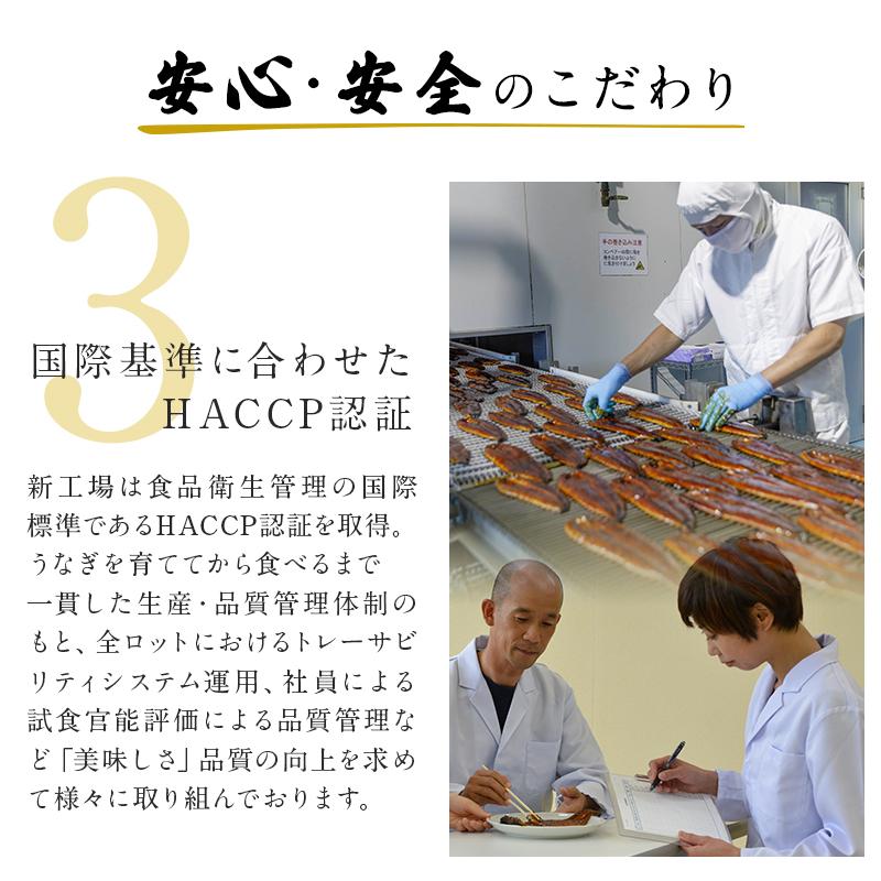 うなぎ 鰻 ウナギ 国産 国内産 九州産 うなぎ蒲焼 鰻蒲焼 蒲焼き 蒲焼 長焼 1尾 140g×1尾 （1~2人前） お取り寄せグルメ プチ贅沢 敬老の日 お歳暮｜unagidokoromanraku｜10