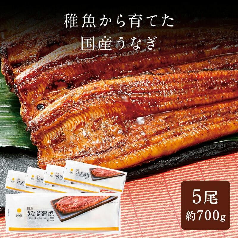 うなぎ 鰻 ウナギ 国産 国内産 九州産 うなぎ蒲焼 鰻蒲焼 蒲焼き うなぎ 鰻 ウナギ 国産 国内産 九州産 うなぎ蒲焼 鰻蒲焼 蒲焼き