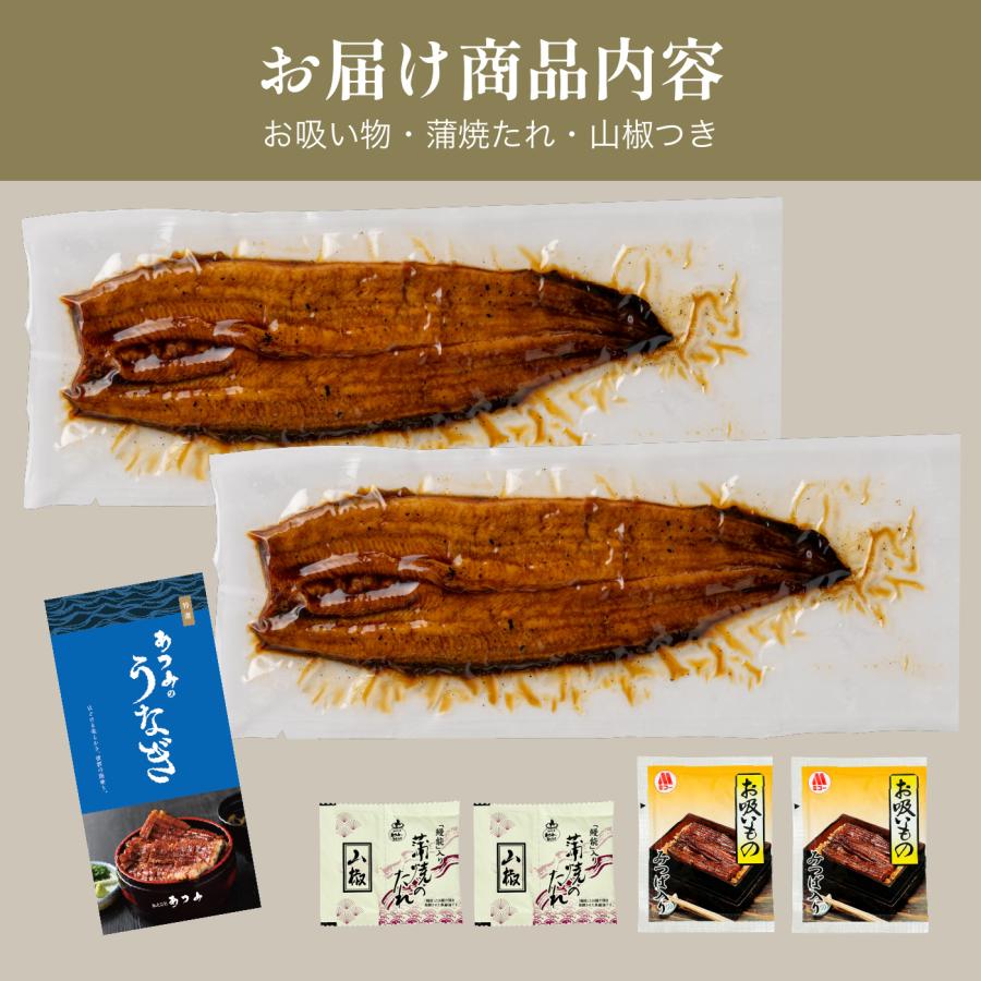 【国産うなぎ蒲焼き　2尾セット】レビュー投稿で刻み鰻プレゼント中！　土用の丑　お祝　お歳暮　お中元　誕生日　敬老の日 |  | 06