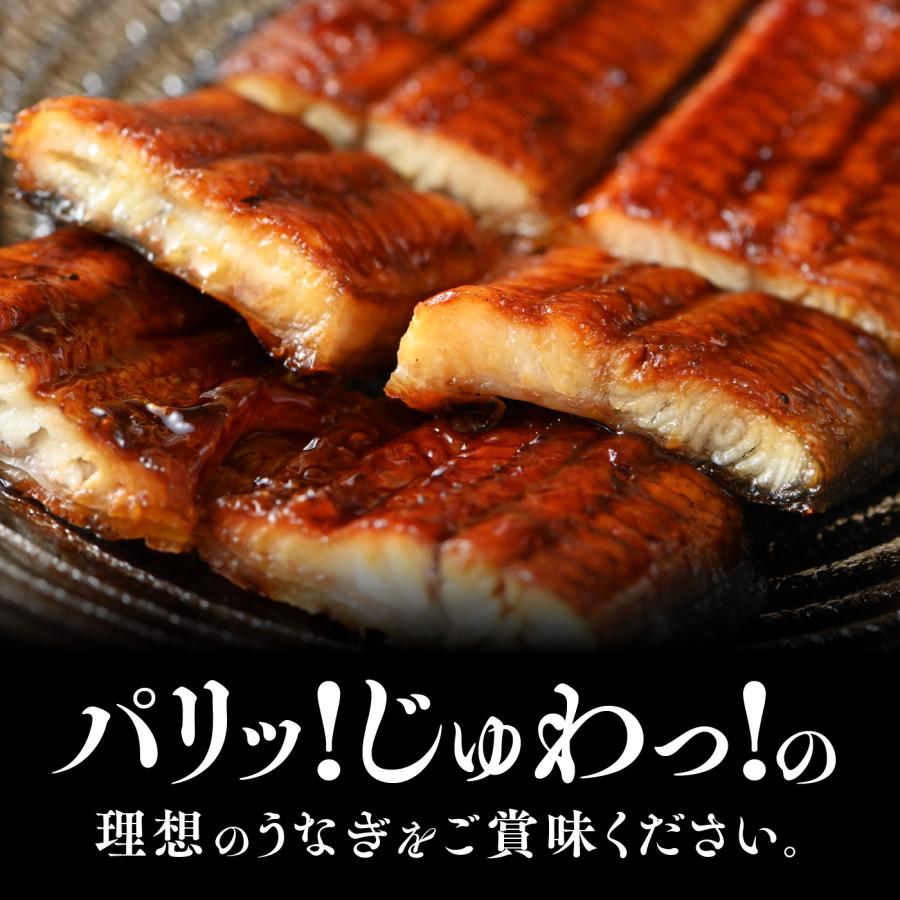 【国産うなぎ蒲焼き　2尾セット】レビュー投稿で刻み鰻プレゼント中！　土用の丑　お祝　お歳暮　お中元　誕生日　敬老の日 |  | 01