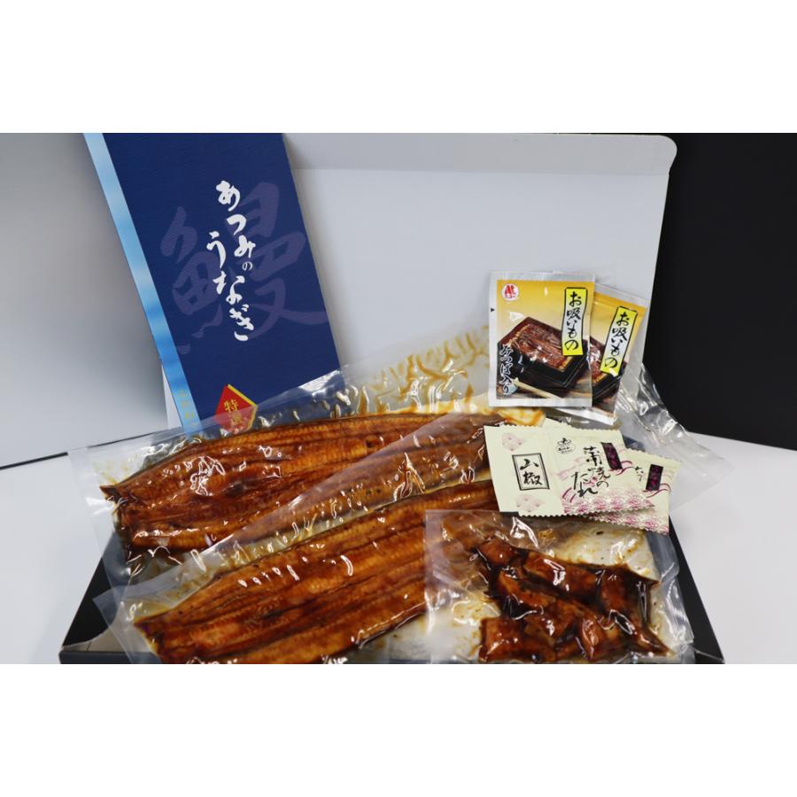【国産うなぎ蒲焼き　2尾セット】レビュー投稿で刻み鰻プレゼント中！　土用の丑　お祝　お歳暮　お中元　誕生日　敬老の日 |  | 08