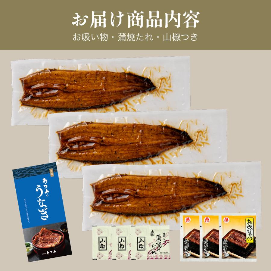 【国産うなぎ蒲焼き　3尾セット】刻み鰻１食分￥600相当プレゼント　土用の丑　人気　お祝　お歳暮　お中元　　誕生日　敬老の日 |  | 06