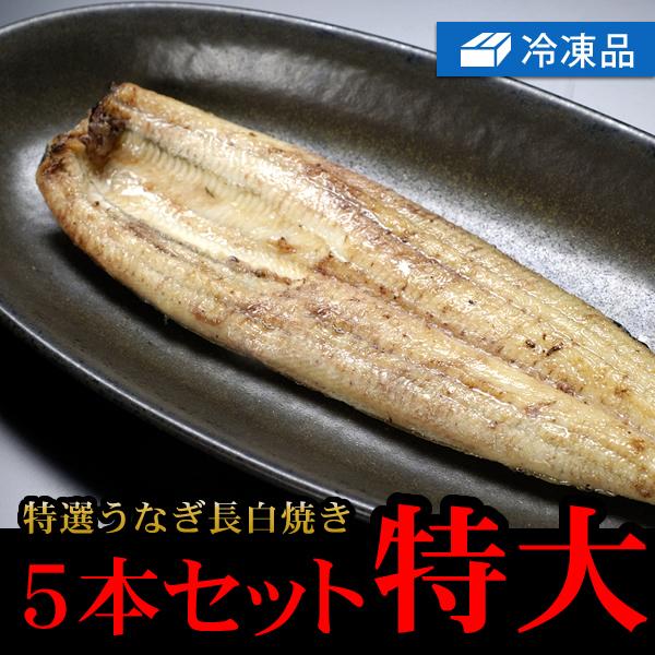 冷凍鰻白焼「特大」５本セット