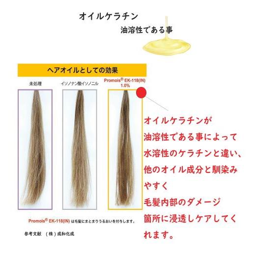 Hair treatment seiwa promois 