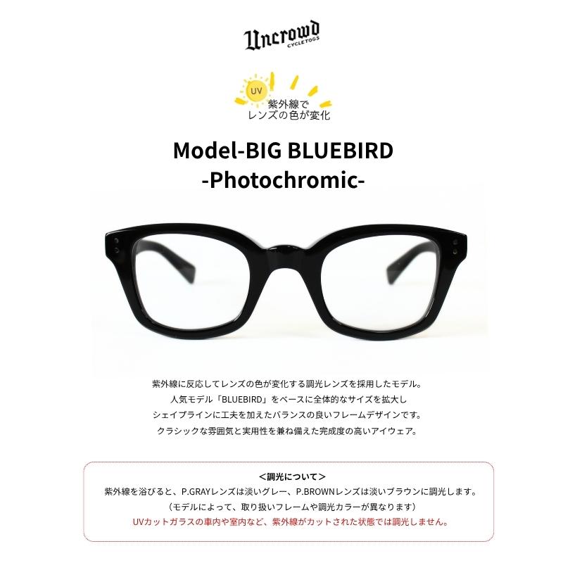 UNCROWD CYCLETOGS 2026入荷 UNCROWD アンクラウド 調光サングラス BIG