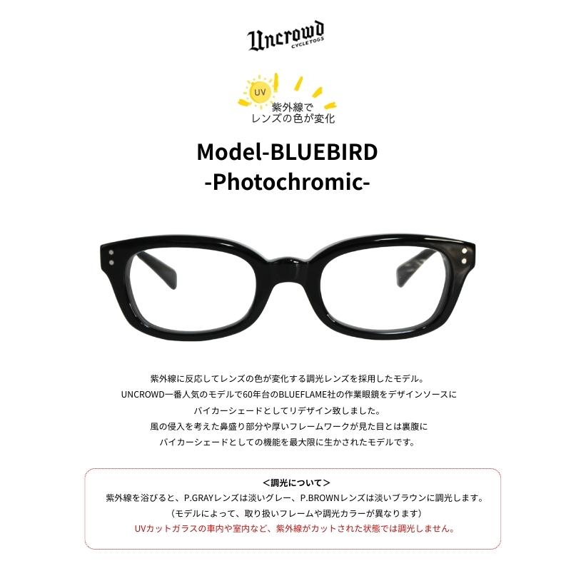 UNCROWD CYCLETOGS UNCROWD アンクラウド 調光サングラス BLUEBIRD