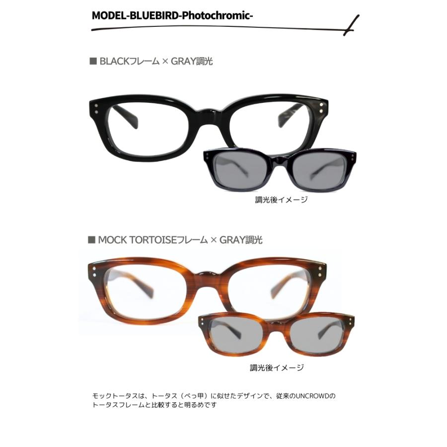 アンクラウドBlue bird べっ甲調光レンズ ブルーバードUNCROWD UNCROWD/アンクラウド】「Biker Shade”Big Bluebird-Photochromic Lens