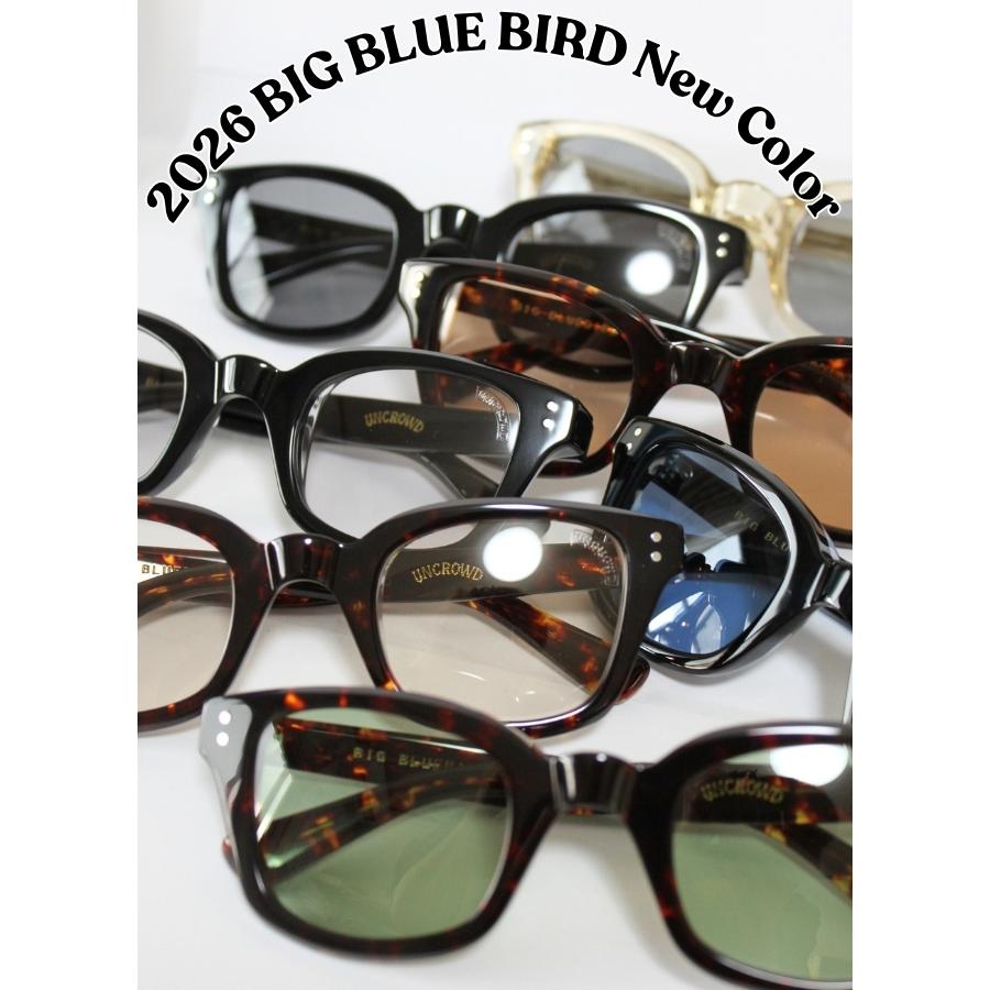 2026入荷 アンクラウド サングラス BIG BLUEBIRD ビッグブルーバード