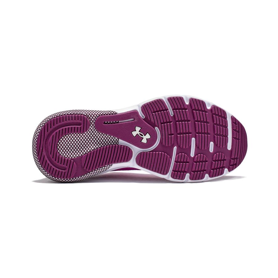 UNDER ARMOUR 【30%OFF】公式 アンダーアーマー Womens Run UNDER ARMOUR 【30%OFF】公式 アンダーアーマー Womens Run