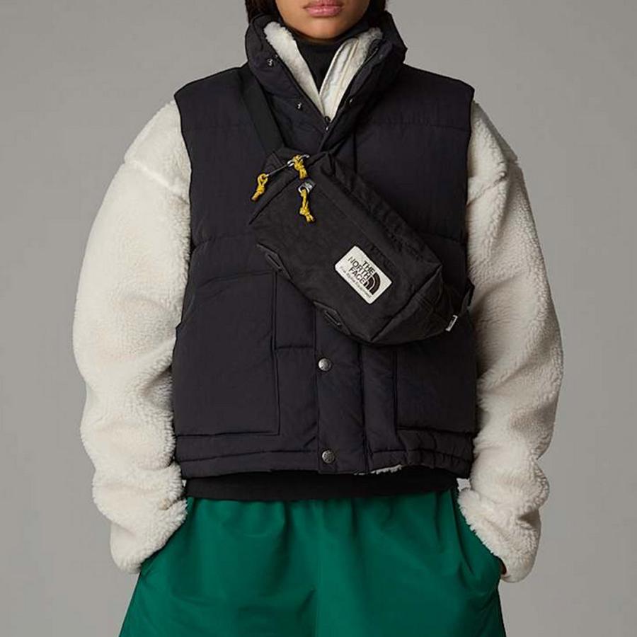 THE NORTH FACE ボディバッグ nf0a52vu-co THE NORTH FACE FACE(ザノースフェイス)ボディバッグ ウエスト
