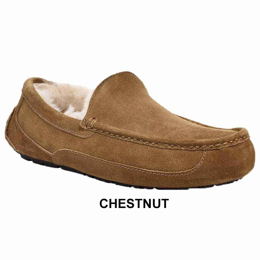 UGG Australia（アグオーストラリア） UGG(アグ)メンズ アスコット