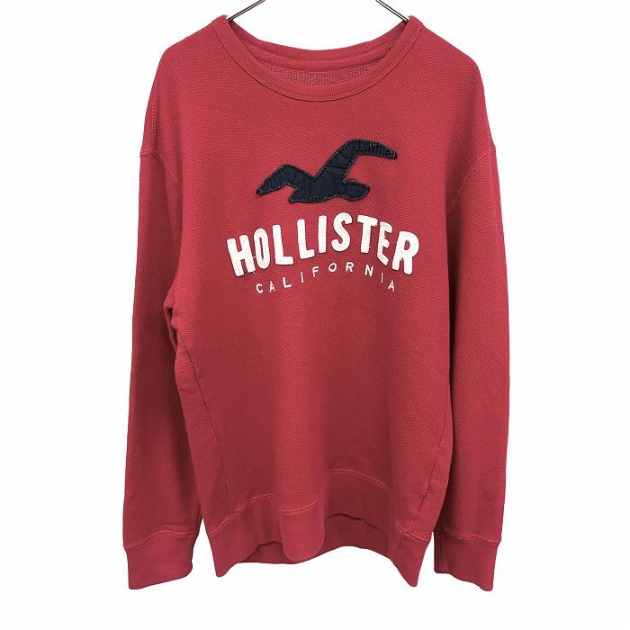 Hollister ホリスター HOLLISTER カットソー 裏毛 ロゴ刺繍 鳥のパッチ