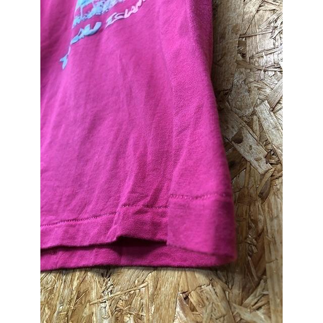 Hanes 【USA製】 HEAVYWEIGHT 50/50 ヘインズ L レディース T