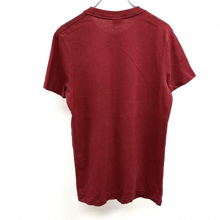Hollister HOLLISTER ホリスター S レディース Tシャツ Hollister HOLLISTER ホリスター S レディース Tシャツ