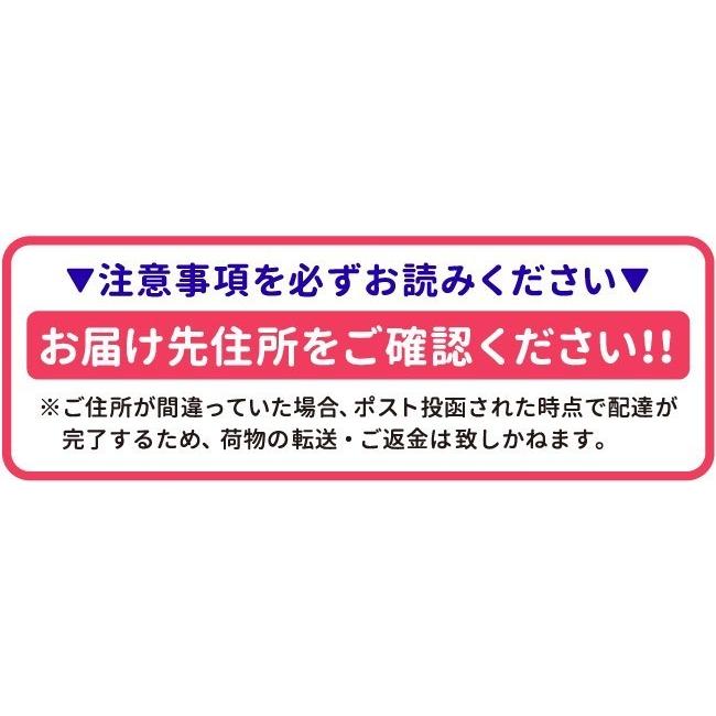 ディズニー 日本製 6重ガーゼミニケット 70×100cm ベビーミッキー プーさん ミッキーマウス 綿100％ メール便発送(ポスト投函) NP｜undoudou｜24