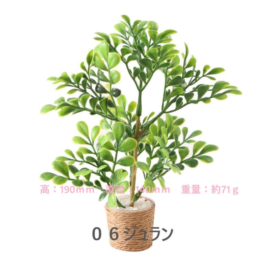 1点販売】【11種類を選べる】ミニチュア観葉植物／ドールハウス用