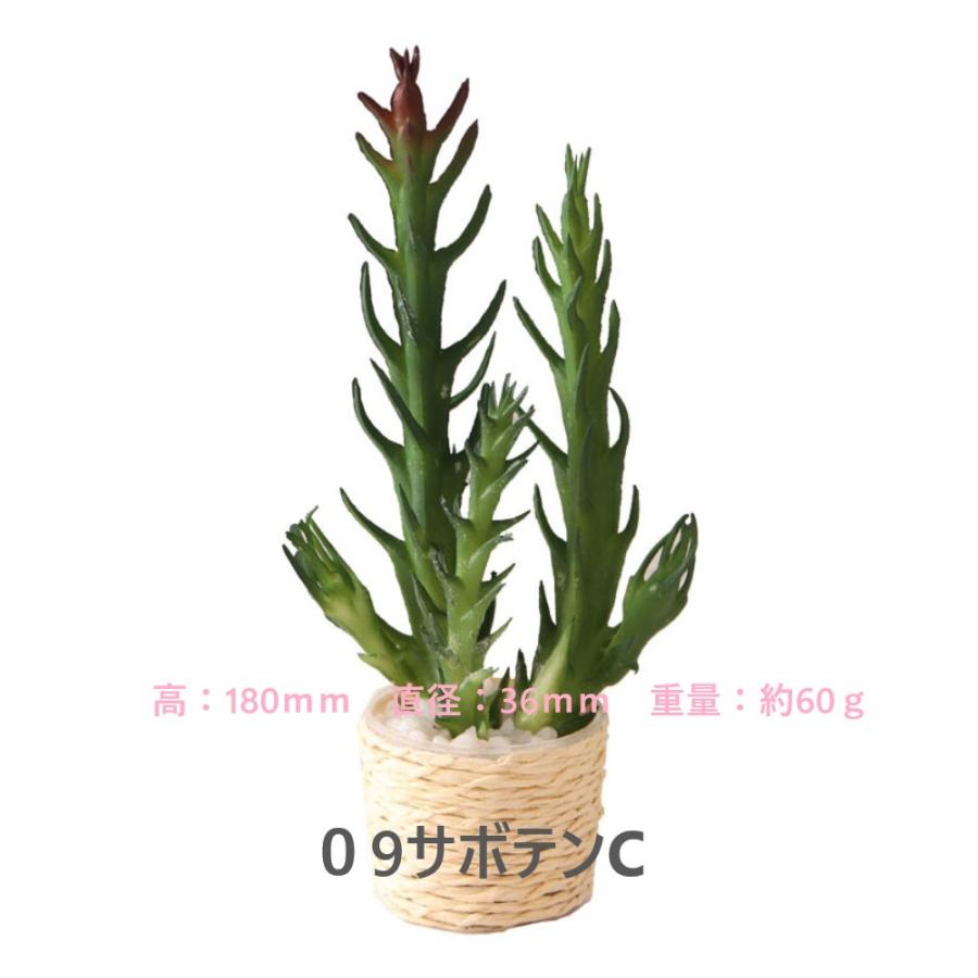 1点販売】【11種類を選べる】ミニチュア観葉植物／ドールハウス用