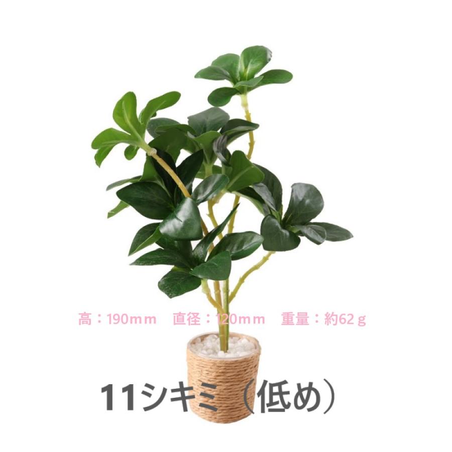1点販売】【11種類を選べる】ミニチュア観葉植物／ドールハウス用