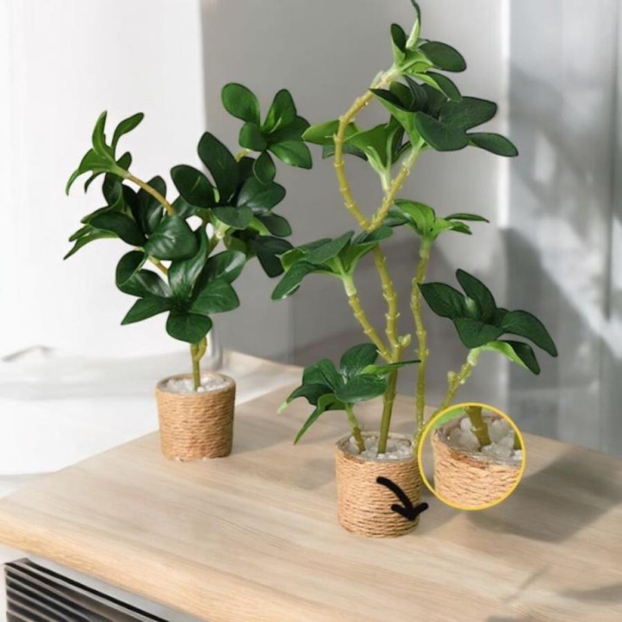 1点販売】【11種類を選べる】ミニチュア観葉植物／ドールハウス用