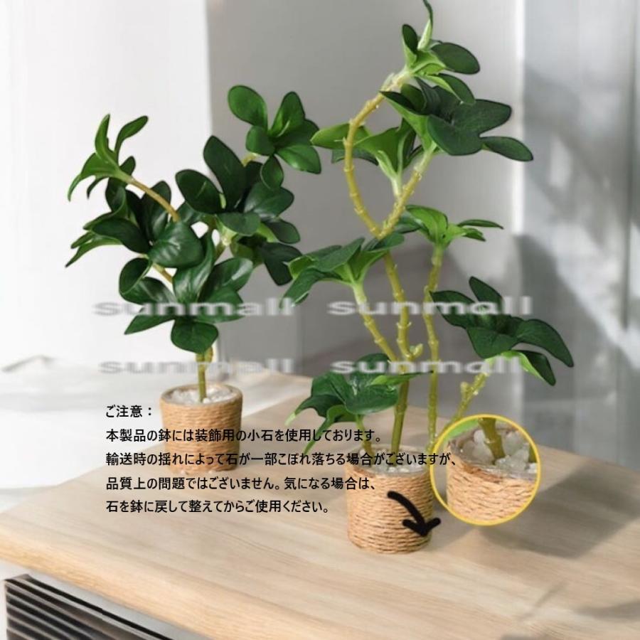 1点販売】【11種類を選べる】ミニチュア観葉植物／ドールハウス用