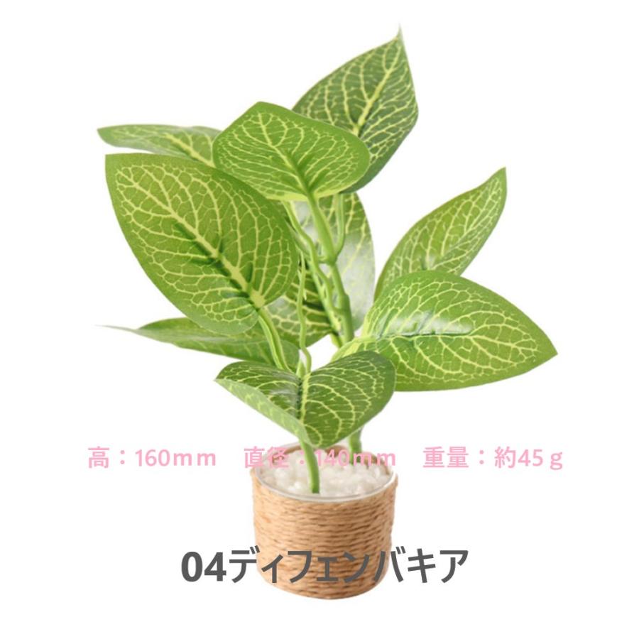 1点販売】【11種類を選べる】ミニチュア観葉植物／ドールハウス用