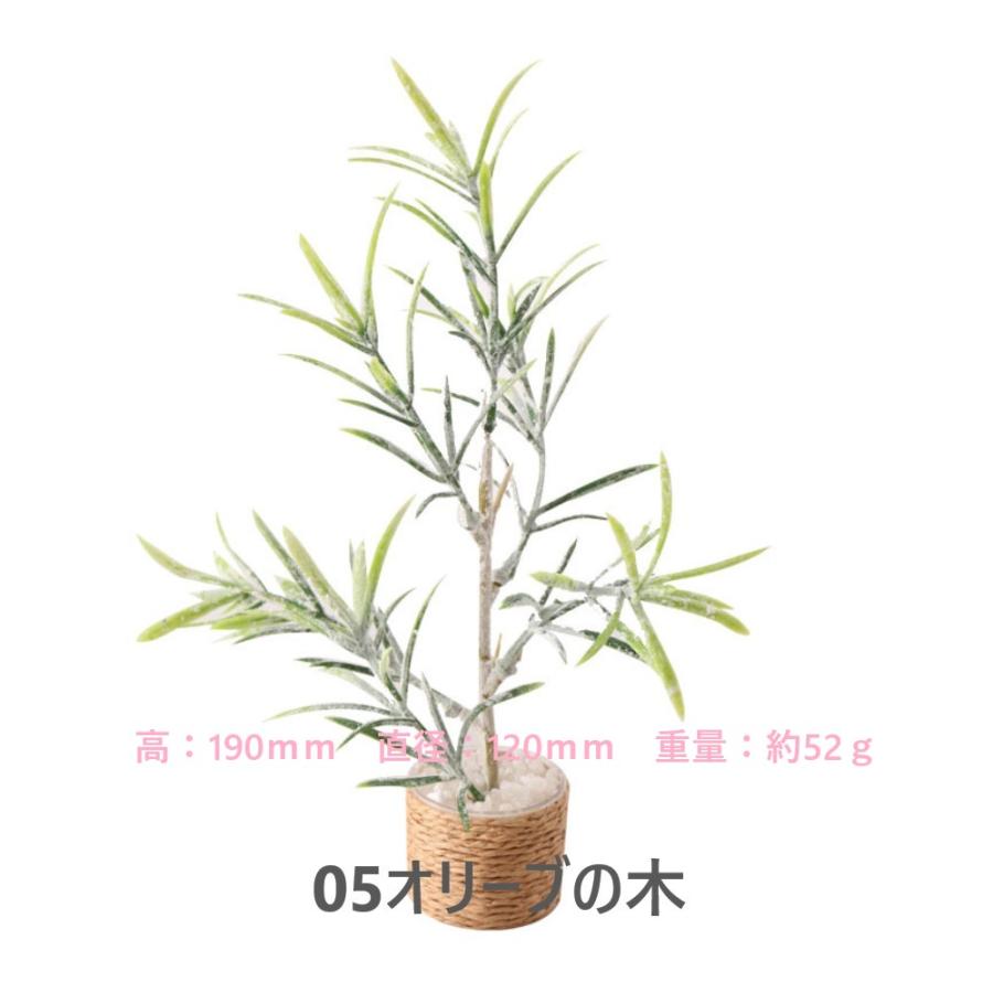 1点販売】【11種類を選べる】ミニチュア観葉植物／ドールハウス用
