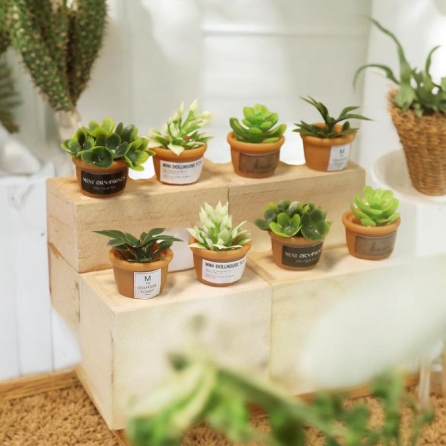 生活雑貨 家庭用品 ガーデニング 観葉植物 1点）ミニチュア鉢植え 観葉植物 ガーデニング グリーン 4タイプ選べる