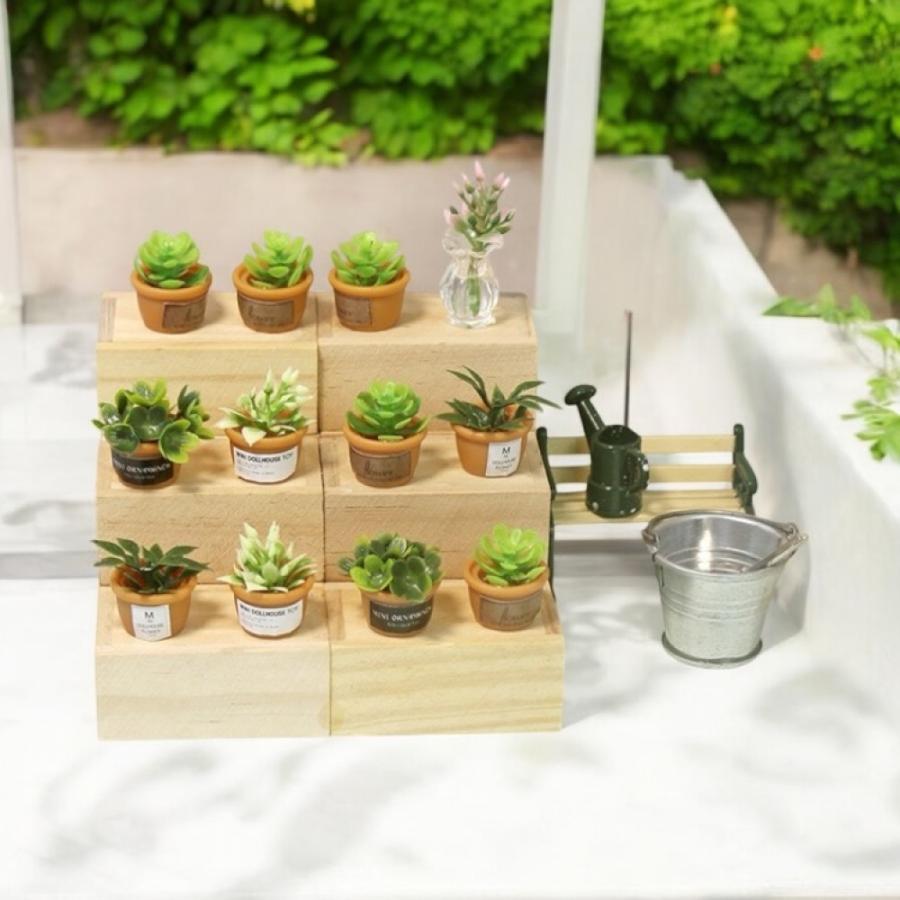 1点）ミニチュア鉢植え 観葉植物 ガーデニング グリーン 4タイプ選べる