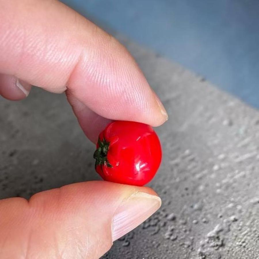 【1点販売】ミニチュア トマト 1点販売 約16mm ドールハウス ミニチュアフード 野菜 食品サンプル風 リアル 撮影小物 |  | 05