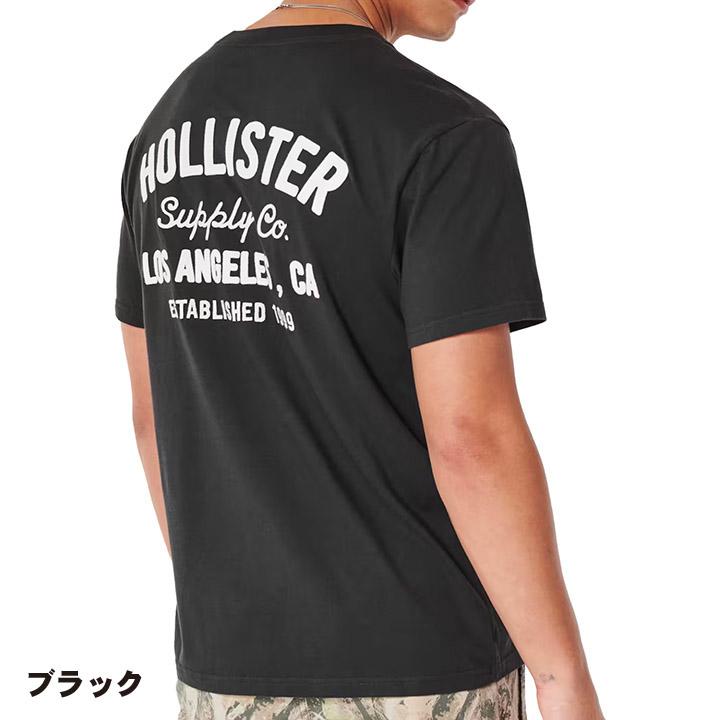ホリスター メンズ 刺繍 アップリケ プリントロゴグラフィック半袖Tシャツ Hollister Logo Graphic Tee 4カラー｜unechambre｜08