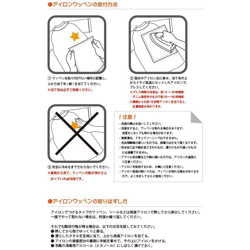読売ジャイアンツ 刺繍ワッペン TOKYO 巨 (H-0006) ジャイアンツ