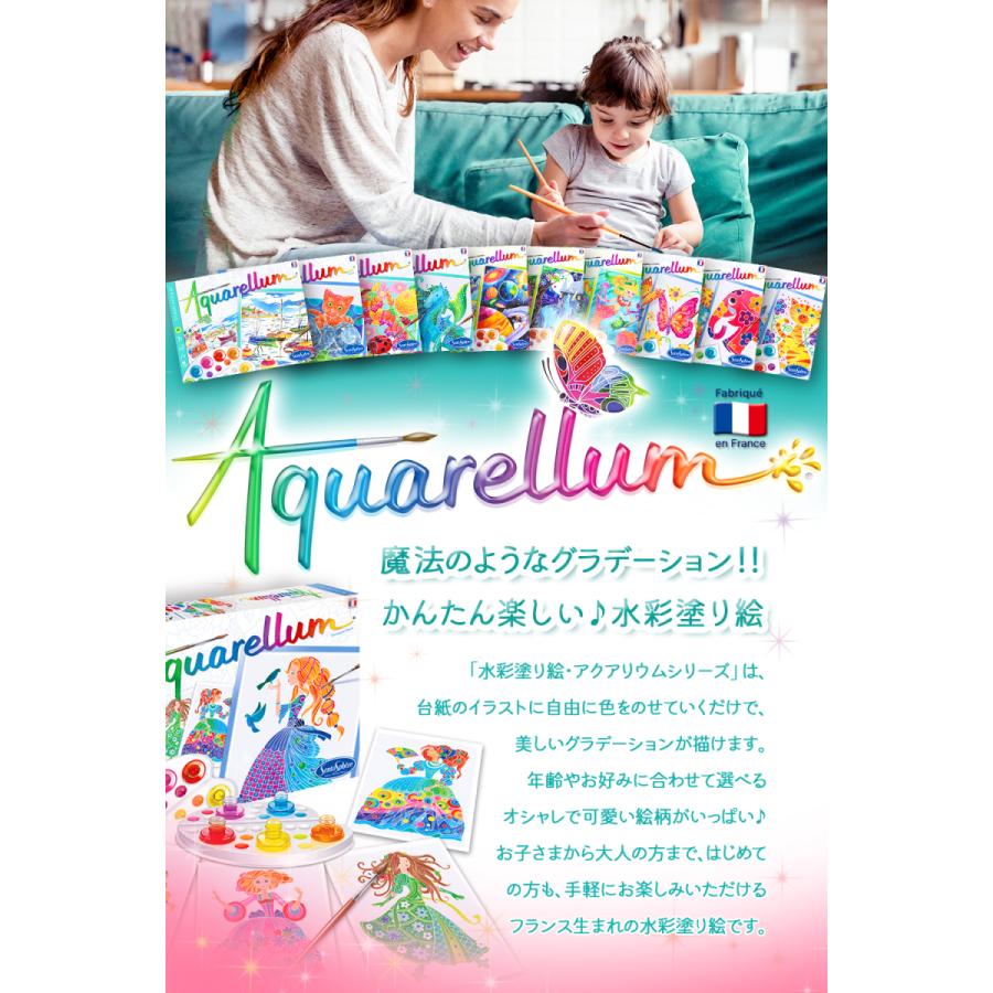 送料無料 Aquarellum Mini アクアレルム ミニ イラスト ちょうちょ 水彩ぬりえ 水彩画 セット 絵の具セット お絵かきシート フランス製塗り絵 Aynaelda Com