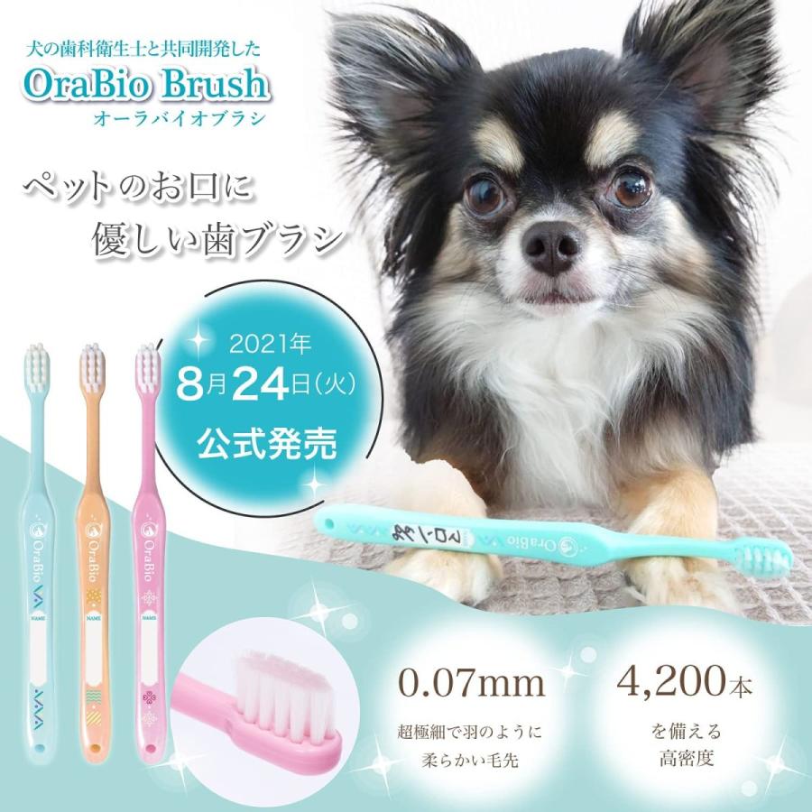Sale 91 Off オーラバイオブラシ 短毛 犬 歯ブラシ 柔らかい 犬用 デンタルケア 歯みがき お口の小さな子 オレンジ 日本製 バイロン Orabio Discoversvg Com