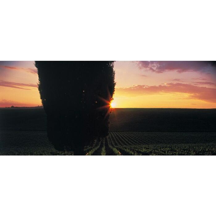 12本セット【送料無料】ルーチェ[2021]テヌータ・ルーチェ 赤 750ml×12