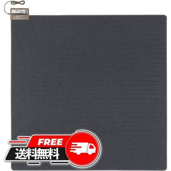パナソニック 着せ替えカーペット用ヒーター 2畳相当 DC-2HA(1枚入