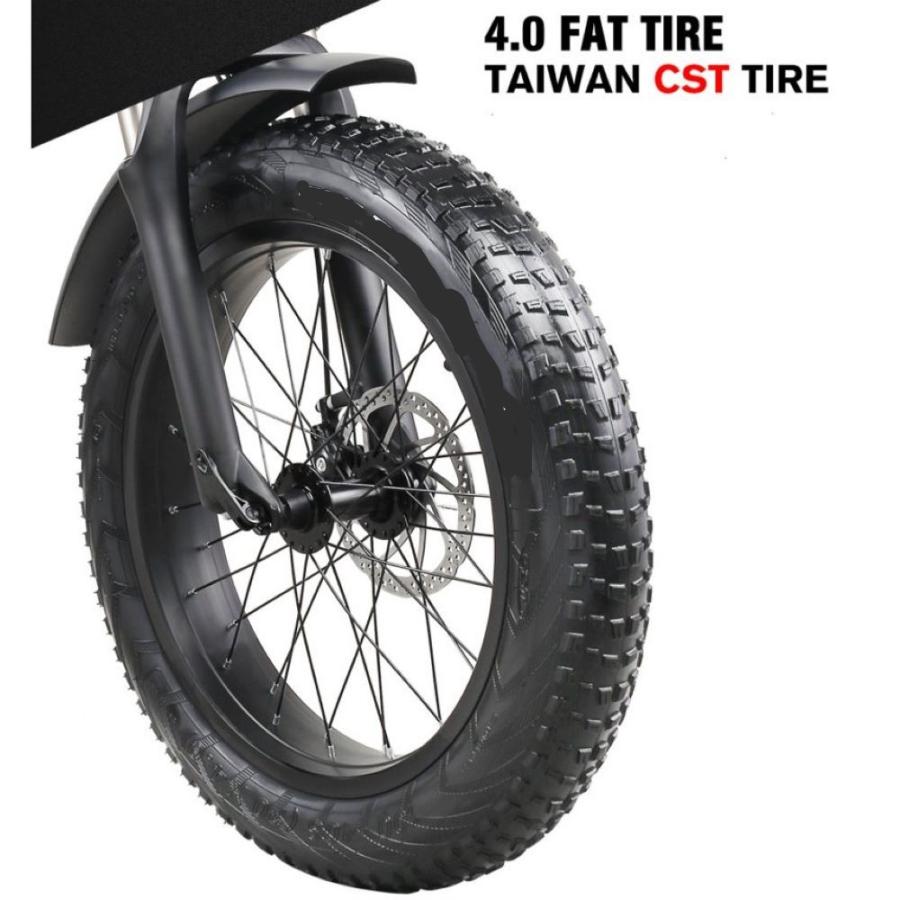 ShengmiloMx20 ファットバイク 20インチ 電動自転車アシスト極太