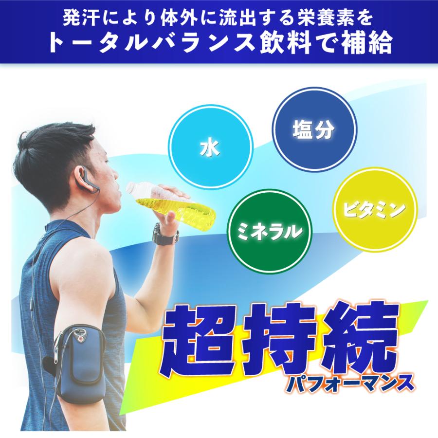 公式ストア】シトリックV3000 粉末タイプ スポーツドリンク トータル