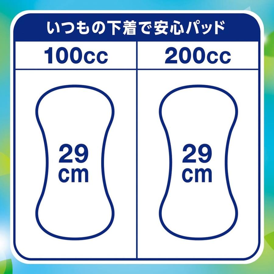ライフリー さわやかパッド いつもの下着で安心パッド 100cc 30枚 ユニ