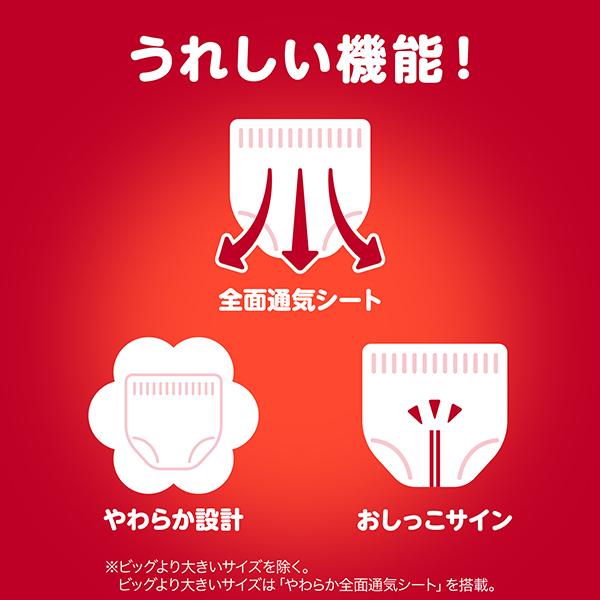マミーポコ マミーポコパンツ Mamy Poko パンツ ドラえもん オムツ L