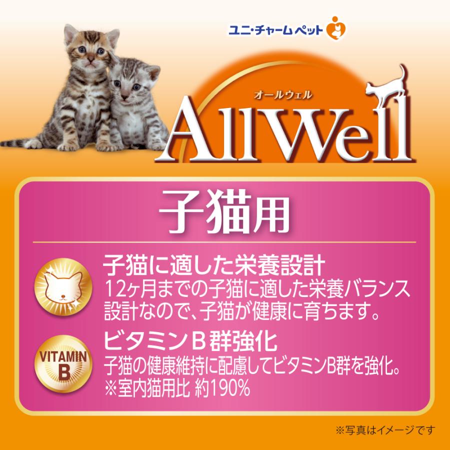 オールウェル健康育つ子猫用魚味挽魚ささみのフリーズドライパウダー入1.6kg×5 AllWell 挽き小魚とささみフリーズドライ フィッシュ味 室内猫用 キャットフード