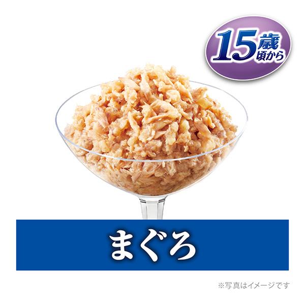 銀のスプーン 銀のスプーンパウチ15歳頃から2種のアソート 60g×4個
