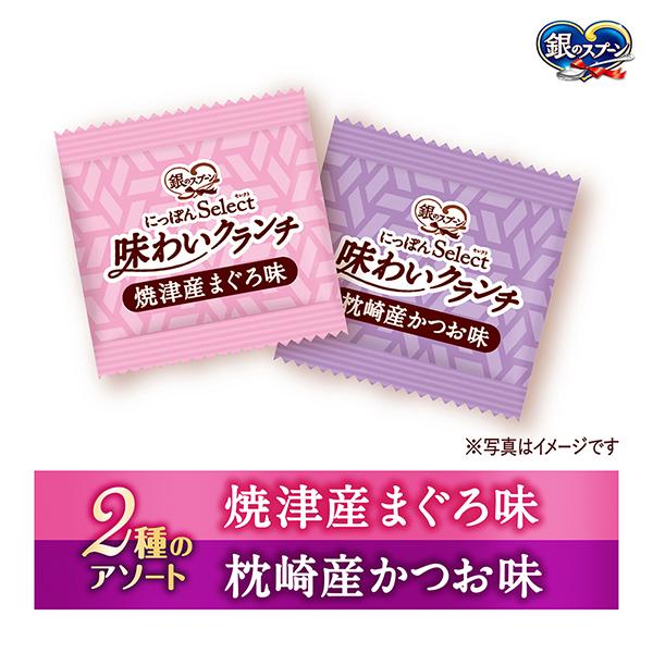 銀のスプーン 銀のスプーンおやつにっぽんselect味わいクランチ2種の