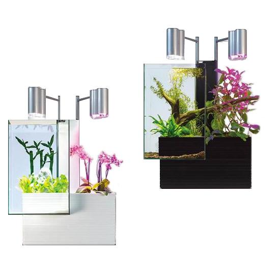 魚と植物がセットで楽しめる 家庭用アクアポニックス 今まで別々だった 魚の飼育 と 植物の栽培 を融合させ 同時に楽しむ事ができる画期的な水槽 ガーデニングスペース 従来の水槽とは違い定期的な水換えの必 Abt 魚と植物がセットで楽しめる Brio35 ブリオ