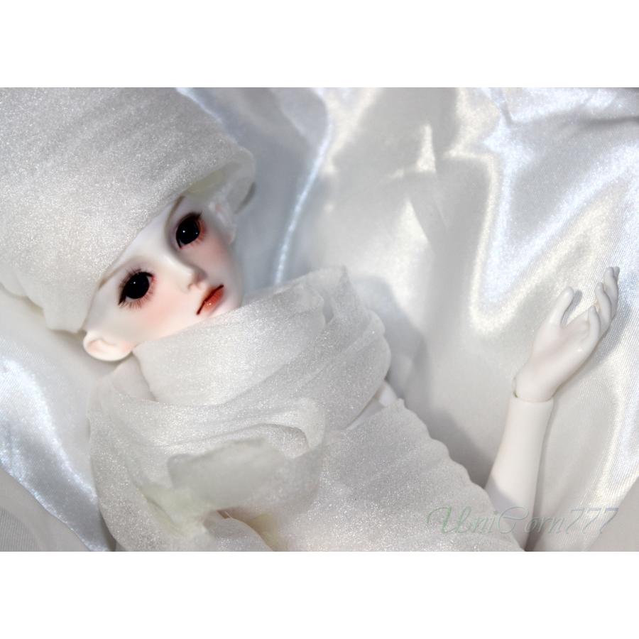 BJD 1/4 鳥打帽子を被った少年 ディーツ フルセット : UniCorn777