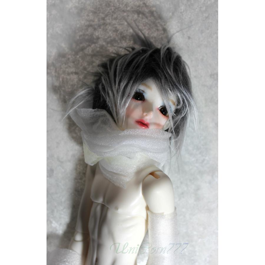 BJD 1/4 魔導士の少年ニエラ （本体＋髪） : unio24001564 