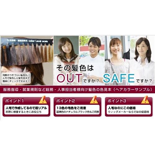 頭髪検査用人毛カラーレベルスケール 服務指導 生活指導 生徒指導 就業規則に便利 ユニコーンストア 通販 Yahoo ショッピング
