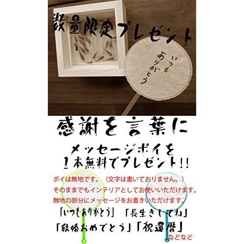 癒しの めだか メダカ アート 樹脂金魚 金魚アート 輝 手作り ハンドメイド 岐阜県 東濃ひのき オブジェ インテリア ギフト 還暦祝 ユニコーンストア 通販 Yahoo ショッピング