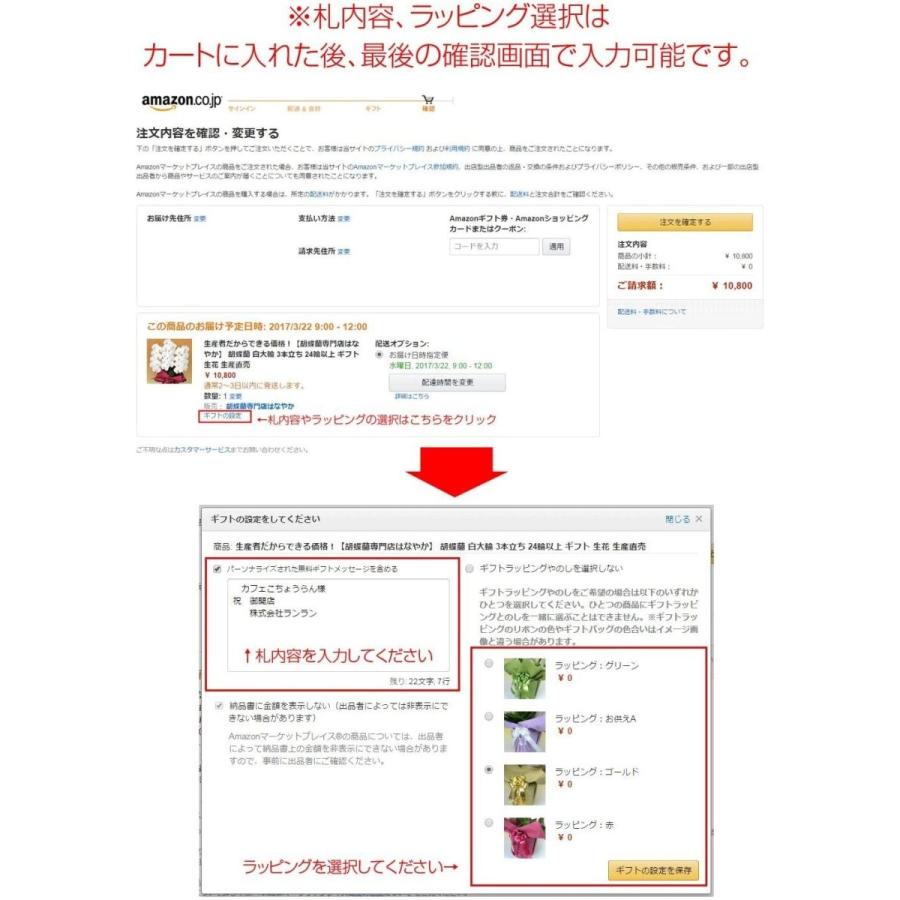 胡蝶蘭専門店はなやか 胡蝶蘭 白大輪 3本立ち 24輪以上